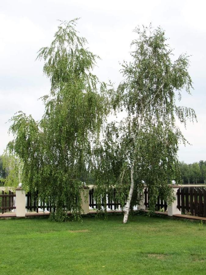 Hotel And Restaurant Complex Lubokray Pereyaslav-Khmelʼnytsʼkyy Exteriér fotografie